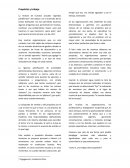 El sentido de mi trabajo