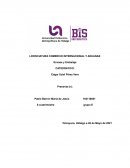 ¿Cuál es la importancia del Envase y Embalaje en logística?