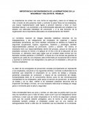 IMPORTANCIA O INCONVENIENCIA DE LA NORMATIVIDAD EN LA SEGURIDAD Y SALUD EN EL TRABAJO