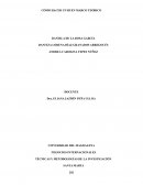 NEGOCIOS INTERNACIONALES. TÉCNICAS Y METODOLOGÍAS DE LA INVESTIGACIÓN