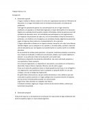 Trabajo Práctico docente