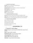 Descripción de la Idea de Negocio