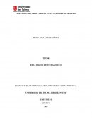 LINEAMIENTOS CURRICULARES Y EVALUACION DE LOS PROCESOS