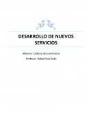 DESARROLLO DE NUEVOS SERVICIOS