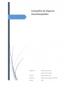 Modelo de negocio Compañía de Seguros Guardaespaldas