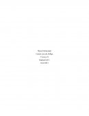 Sistema Bretton Wood