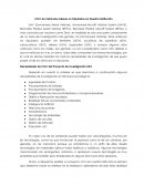 I+D+I de Vehículos Aéreos no Tripulados en Nuestra Institución