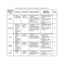 Evaluación de riesgos de tareas forestales_tablas fine