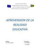 APREHENSION DE LA REALIDAD EDUCATIVA