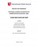 CASO BIG DATA EN GAP