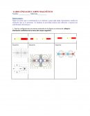 LAB10 LÍNEAS DE CAMPO MAGNÉTICO