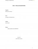 CASO – 9 Roles de Meredith Belbin