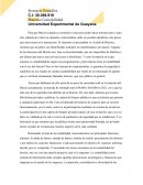 Análisis de Contabilidad - Turismo