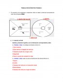 Administracion de negocios Mapa valor - perfil