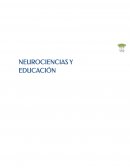 NEUROCIENCIAS Y EDUCACIÓN