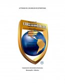 Actividad de los niveles de estrategias