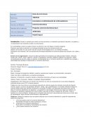 Fase 1 Comercio Electronico