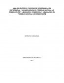 ANALISIS ENTRE EL PROCESO DE REORGANIZACION EMPRESARIAL Y LA INSOLVENCIA EN PERSONA NATURAL NO COMERCIANTE Y LIQUIDACION COMERCIAL Y LIQUIDACION EN PERSONA NATURAL NO COMERCIANTE