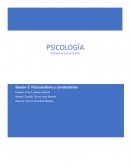 Pasion secreta, ensayo de pelicula