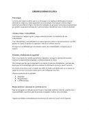 CIBERSEGURIDAD EN LÍNEA