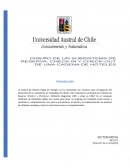 Casos de cadena de Hoteles Diego de Almagro