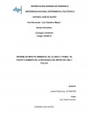 INFORME DE IMPACTO AMBIENTAL DE LA LÍNEA 2 Y RAMAL AV. FAUCETT-GAMBETA DE LA RED BÁSICA DEL METRO DE LIMA Y CALLAO