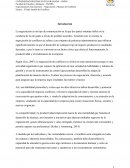 Ensayo : El lado Amable del Conflicto