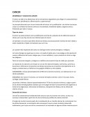 DESARROLLO Y CAUSAS DEL CANCER