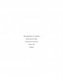 Normas generales de la ortografía