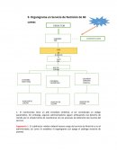 Funciones del Nutricionista en el sector salud