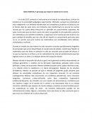 ISAAC NEWTON, el personaje que inspiró el estudio de mi carrera