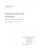 Gestión de Recursos Humanos. Aplicación de Matriz de Competencias