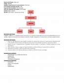 Analisis y Descripcion de 3 puestos laborales