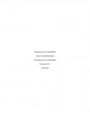 Tarea 1, Introduccion a la Contabilidad IACC