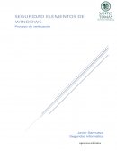 Seguridad Elementos de Windows.