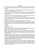 Vitaminas Hidrosolubles