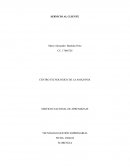 SERVICIO AL CLIENTES