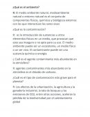 ¿Qué es la contaminación?