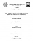 SUITE “IMPROPMTU” (1931) DE JULIÁN CARRILLO (1875-1965) / PRODUCCIÓN DIGITAL PARA CUARTOS DE TONO