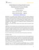 DISEÑO RACIONAL DE PAVIMENTOS FLEXIBLES