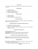 Trabajo teoría de sistemas