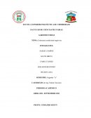 ESTRUCTURA CONDICIONAL SEGUN SEA