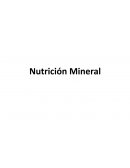 Nutricion mineral