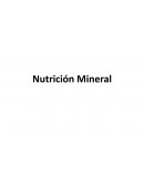 Nutricion mineral