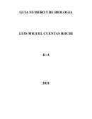 GUIA NUMERO 5 DE BIOLOGIA