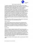 Sistema de información capel