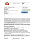 DESCRIPCION DE CARGO Operador General