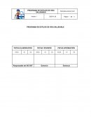 PROGRAMA DE ESTILOS DE VIDA SALUDABLE