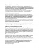 Optimización y desempeño del disco