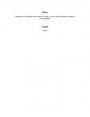 Diferencias entre errores y fraudes, a través de las pruebas de auditoría. (Caso Andrea)